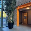 Rising Sun Mills – 188 Valley St – Suite #121